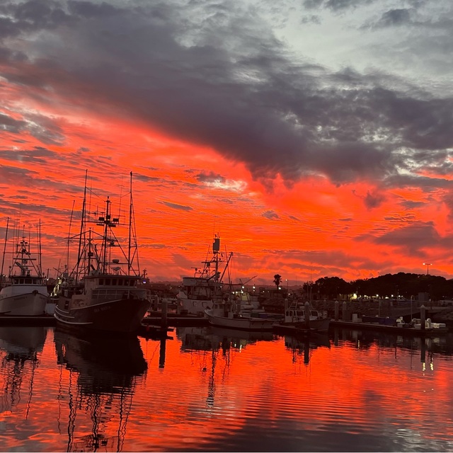 Poshmark banner for @monterey